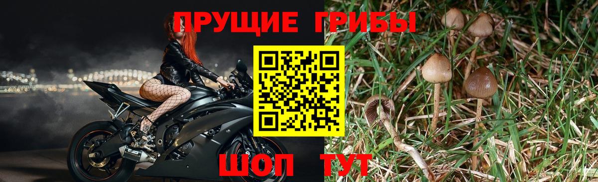 Псилоцибиновые грибы MAGIC MUSHROOMS Маркс